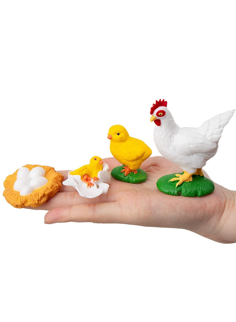 XiuWoo 16 simulation small animal models chickens ducks geese and swans growth life cycle process plastic model suitable for school teaching entertaining - Image 2