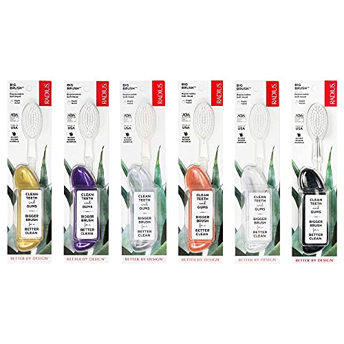 RADIUS Big Brush with Replaceable Head BPA Free ADA Accepted Toothbrush Designed to Improve Gum Health Reduce Gum Issues Right Hand Assorted Pack of 6 - Image 1