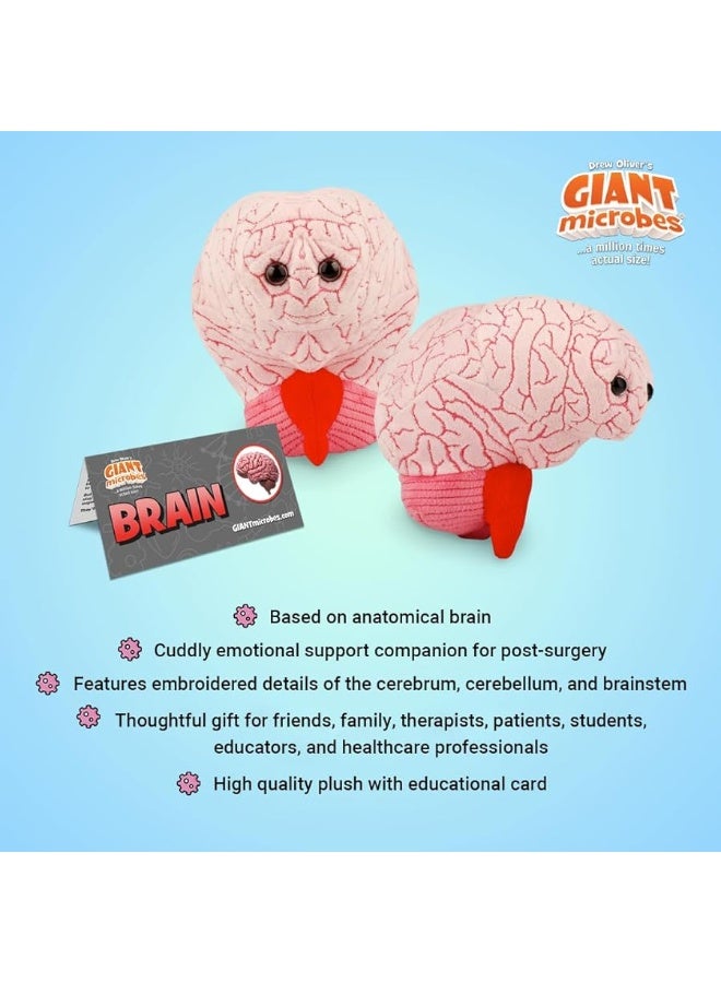 Giant Microbes GIANTmicrobes Brain Plush, Brain Toy, Brain Stuffed Animal, Brain Gifts For Neurologist, Brain Surgery Recovery Gifts, Neurology Gifts, Neuroscience Gifts, Brain Injury Gift, Brain Decor, Biology Gift - Image 4