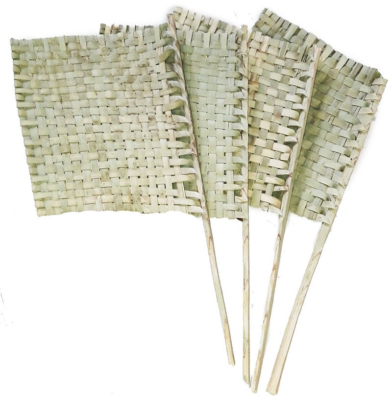 Truvic Hand Crafted Rare Natural Hand Fan PANKHI Set of 4