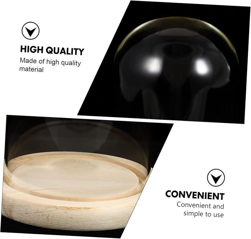 Merryhapy زهرة محفوظة تحت قبة زجاجية كلوش للعرض مقاس 18x12 5x10 سم مع قاعدة خشبية للديكور - Image 3