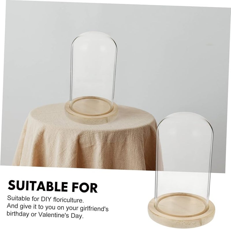 Merryhapy زهرة محفوظة تحت قبة زجاجية كلوش للعرض مقاس 18x12 5x10 سم مع قاعدة خشبية للديكور - Image 5