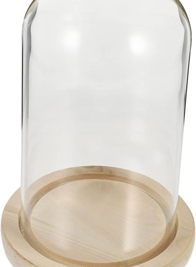 Merryhapy زهرة محفوظة تحت قبة زجاجية كلوش للعرض مقاس 18x12 5x10 سم مع قاعدة خشبية للديكور - Image 1