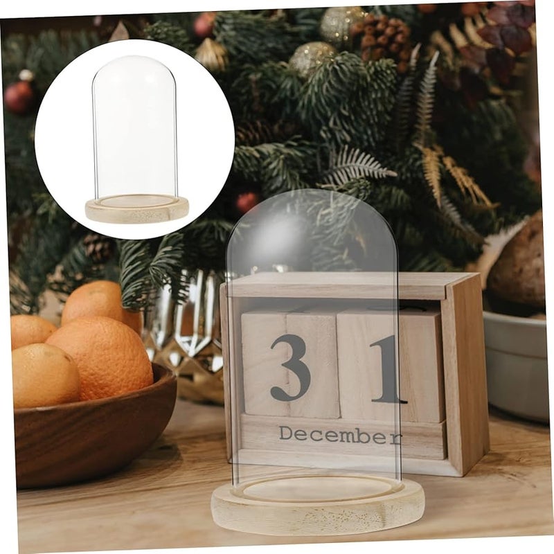 Merryhapy زهرة محفوظة تحت قبة زجاجية كلوش للعرض مقاس 18x12 5x10 سم مع قاعدة خشبية للديكور - Image 4