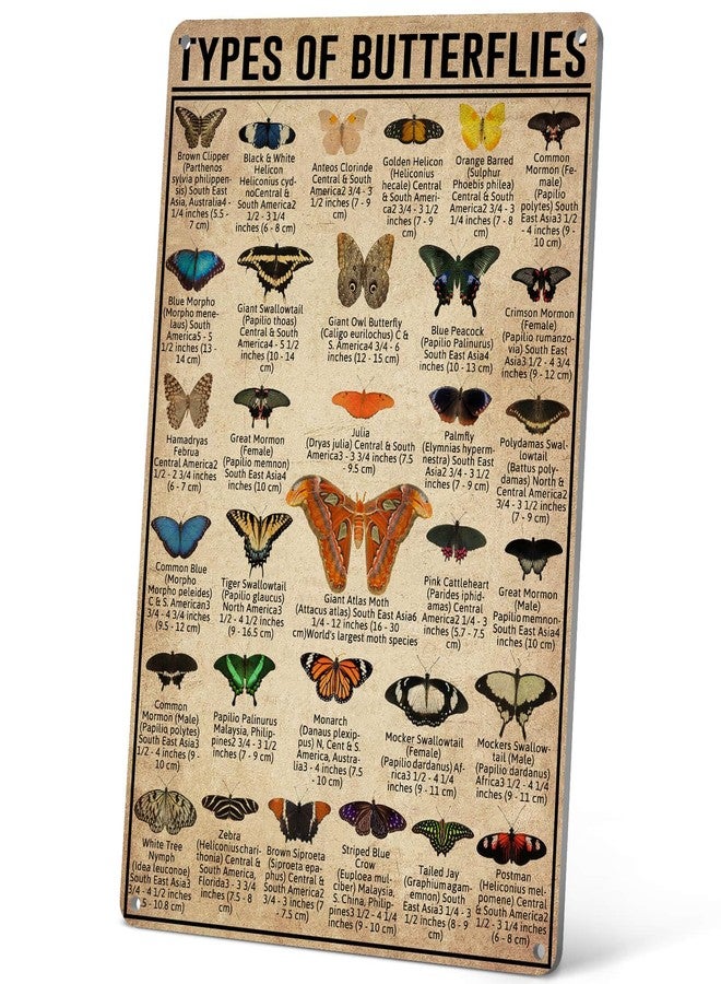 HYBLOM Cottagecore Types Of Butterflies Metal Tin Sign - Vintage Wall Art Poster for Home, Garden, Bathroom, and Patio Decor - Gift for Butterfly Lover, Kids 8x12 Inches - Image 1