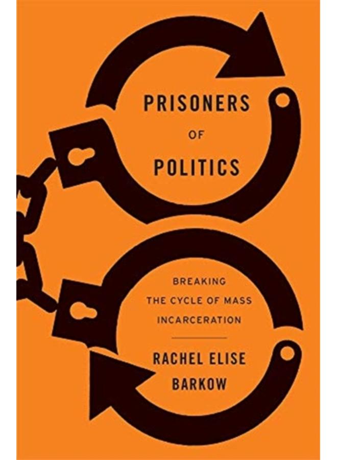 Prisoners of Politics : Breaking the Cycle of Mass Incarceration 