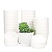 TDHDIKE TDHDIKE 25 Pcs Plastic Planters Indoor Flower Plant Pots, Mini Flower Seedlings Nursery Pot with Pallet, Modern  - Image 2