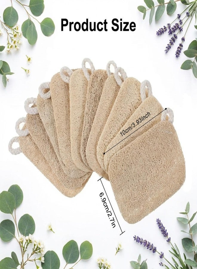 Psiriol 10 Pcs Natural Loofah Sponge Set, Dye-Free, Loofah Sponge for Dishwashing, Loofa for Women and Men Body Scrubber, Bath Exfoliator for Glowing Skin - Image 2