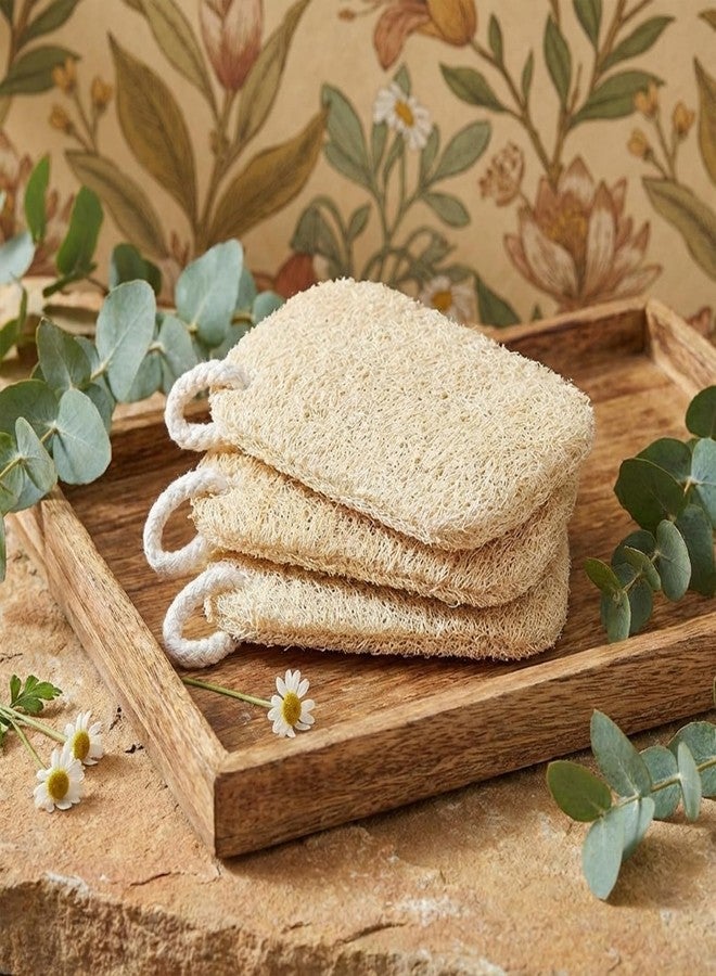 Psiriol 10 Pcs Natural Loofah Sponge Set, Dye-Free, Loofah Sponge for Dishwashing, Loofa for Women and Men Body Scrubber, Bath Exfoliator for Glowing Skin - Image 4