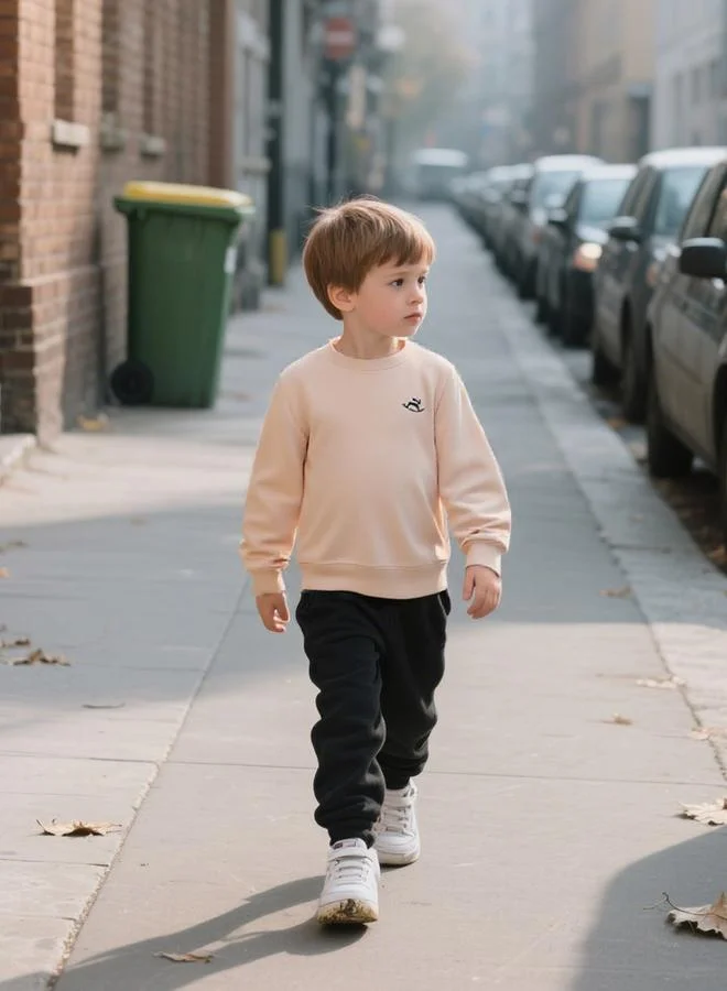 Take Two Take Two Boys Beige Solid Sweatshirt and Joggers Set