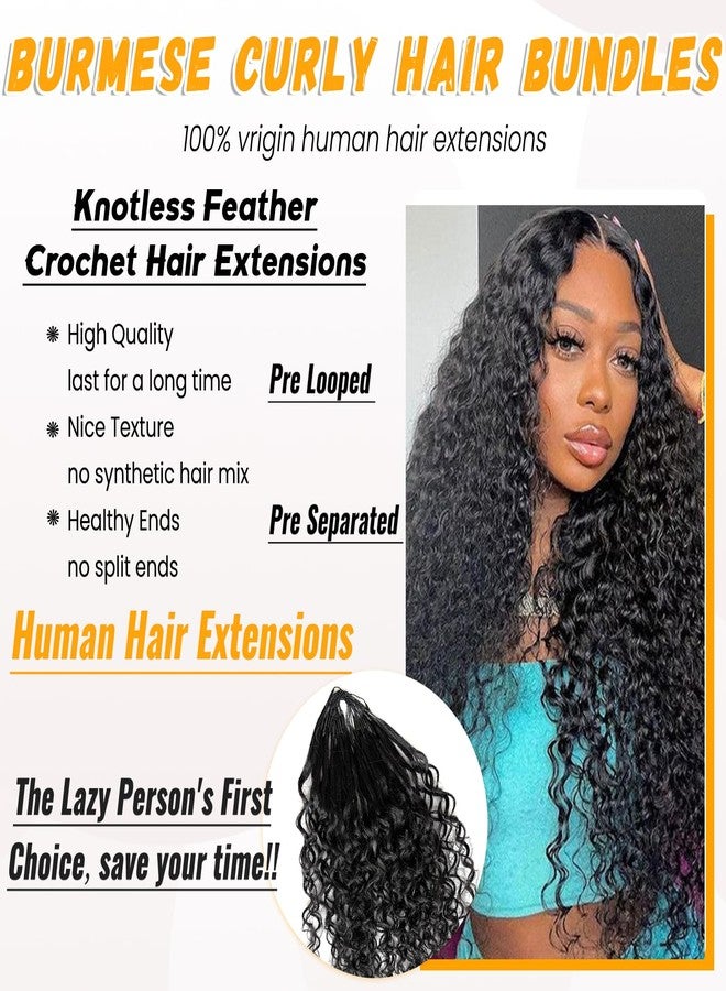 Valiilo Crochet Hair for Black Women Pre Separated Curly Crochet Hair Extensions Real Human Hair Burmese Curly Crochet Human Hair 16 Inch 100G 2 Bundles Invisible Knotless Pre Looped Human Crochet Hair - Image 5