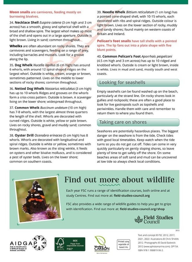 دليل الأصداف البحرية الشائعة في بريطانيا وأيرلندا - Image 2