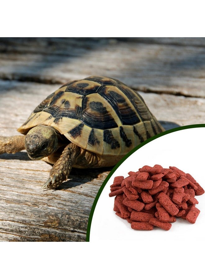 Mozaic Mozaic Tortoise Food | Complete Formulated Diet for Tortoises | Small Red Biscuit (1" x 1/2") (15 Ounce (Pack of 1))  - Image 3
