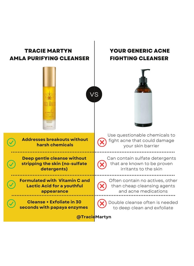 Tracie Martyn Tracie Martyn Amla Purifying Cleanser, 1.7 Fl Oz  - Image 4