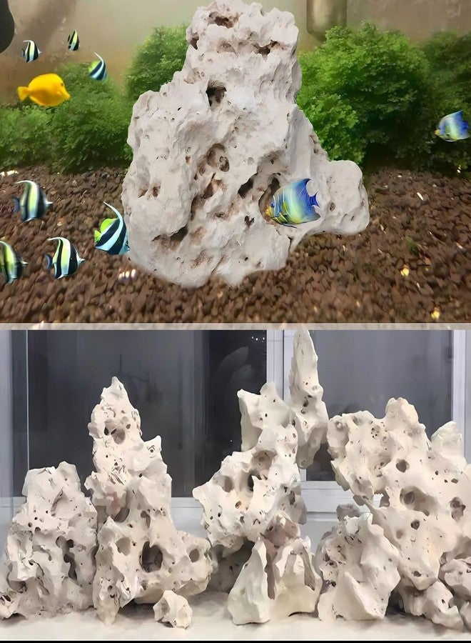 VAYINATO® 3 kg Sansibar White Hollow Rock for Aquascaping - Natural Decorative Rocks for Aquarium & Cichlid Tanks | Porous & Durable River Rock for Freshwater & Marine Setups - Image 1