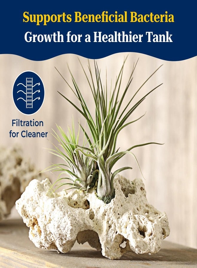 VAYINATO® 3 kg Sansibar White Hollow Rock for Aquascaping - Natural Decorative Rocks for Aquarium & Cichlid Tanks | Porous & Durable River Rock for Freshwater & Marine Setups - Image 5