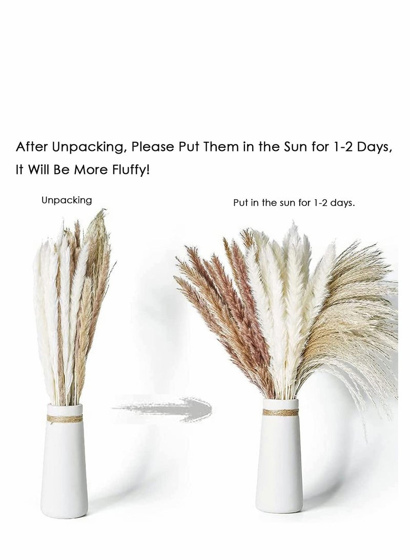 60 Pcs Dried Pampas Grass & Bunny Tails - Boho White Reed for Home Decor, Living Room, Balcony & Wedding Party - Image 4
