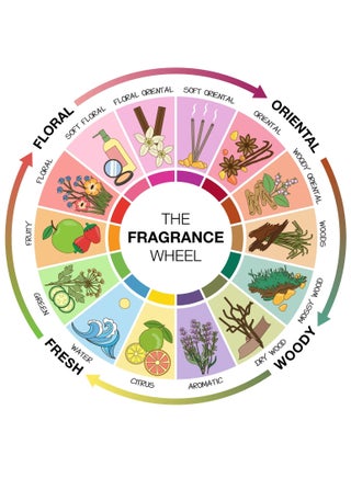 Soft Oriental Scents AMBER AOUD Unisex