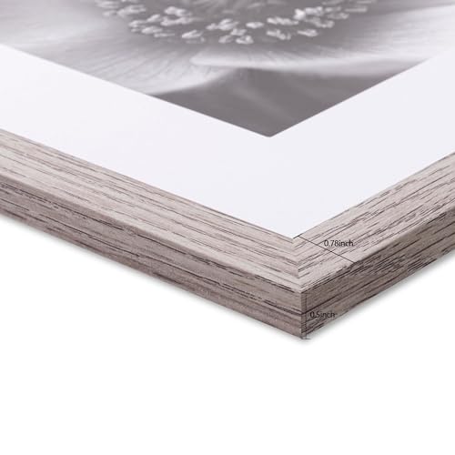 eletecpro 12x12 Picture Frames Set of 9 with Mat for 8x8 Photos or without Mat for 12x12, Square Gallery Wall Decor Collage for Picture Display, Grey Frame Set for Wall Hanging - Image 5