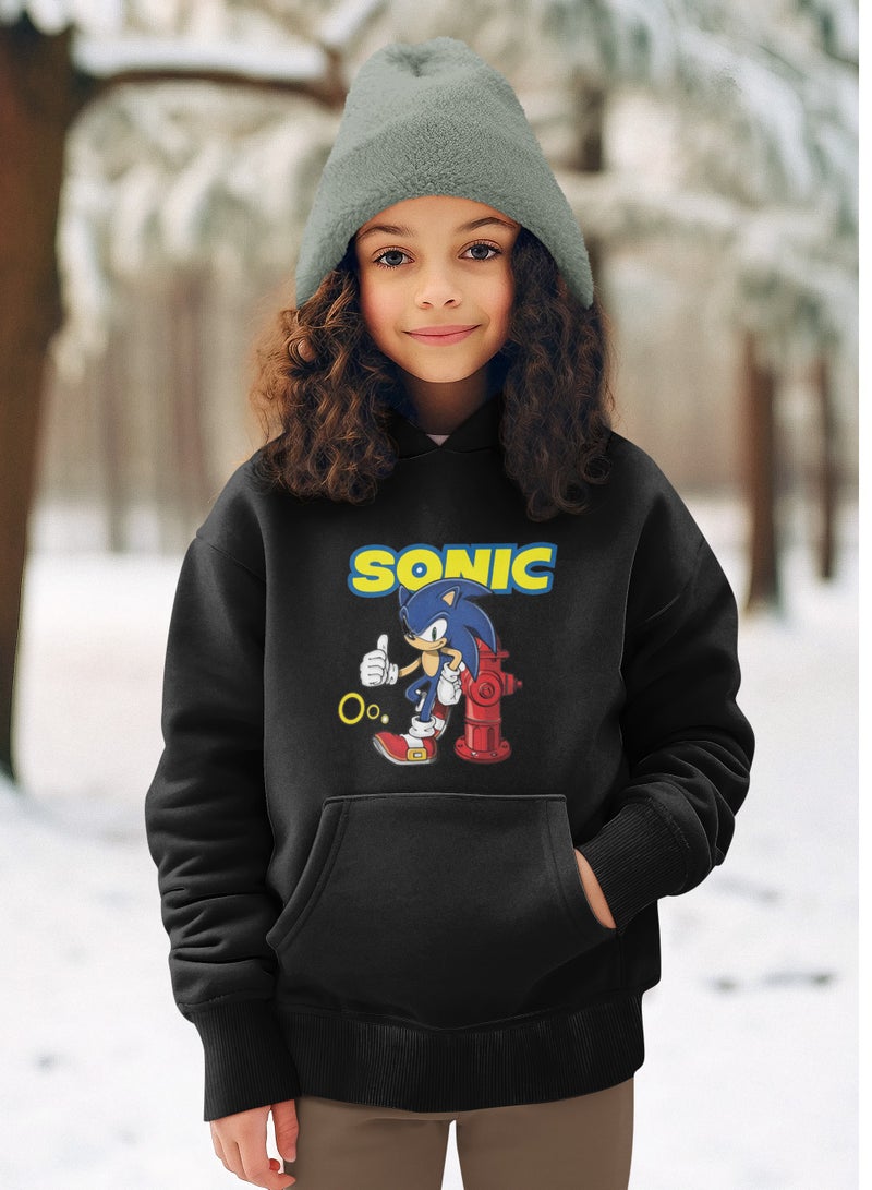 ZOOM Sonic Design In Black Hodie 