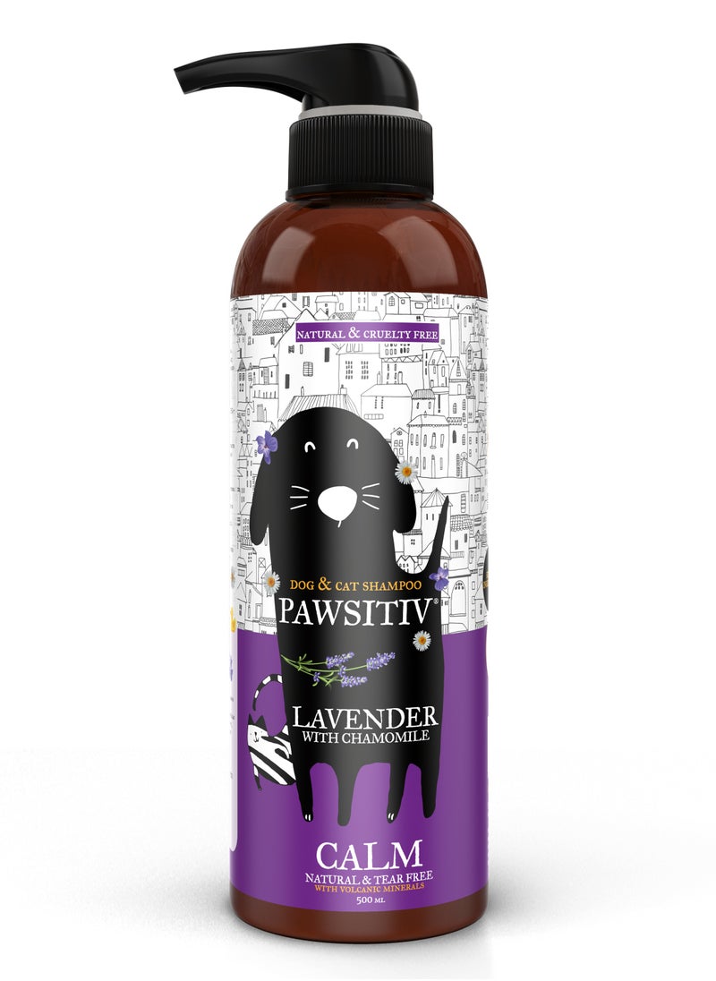 Pawsitiv Pawsitiv Natural and Tearless Lavender with Chamomile Calming Pet Shampoo, For Dogs, Cats, Puppies and Kittens, CALM, 500ML  - Image 1