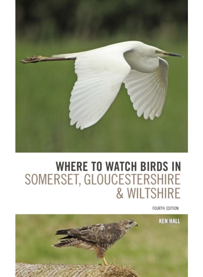Where To Watch Birds in Somerset, Gloucestershire and Wiltshire 