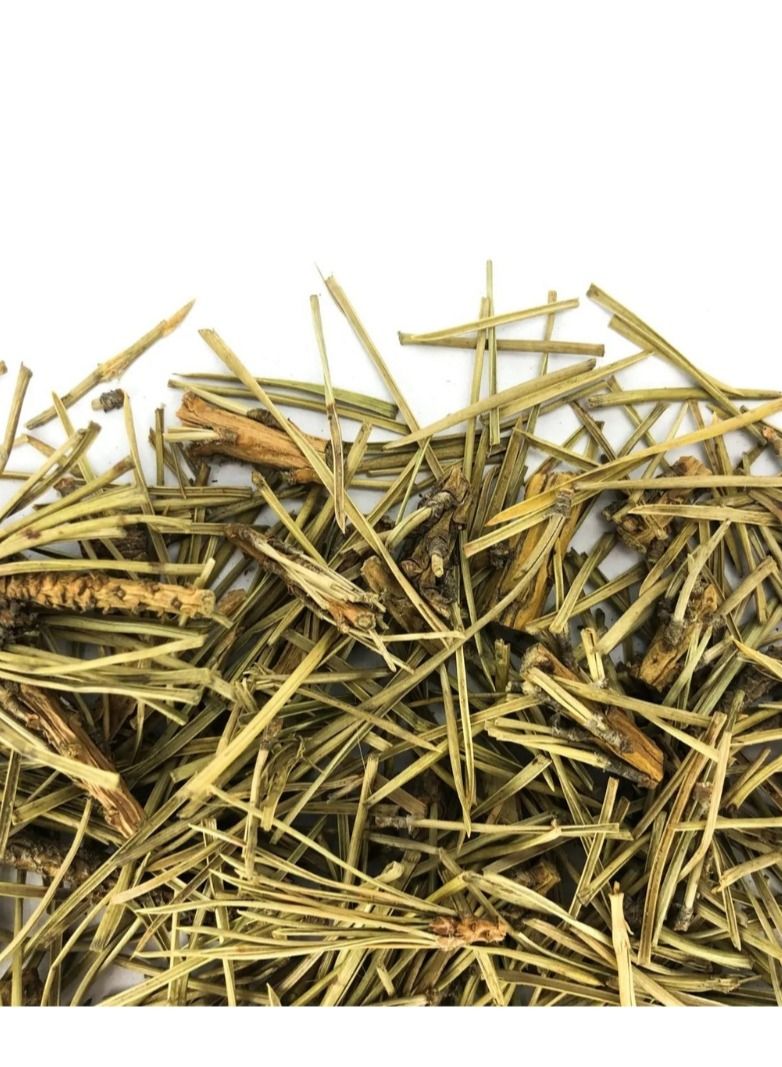 Tealand Herbal Pine Needle Tea Antioxidant Rich Natural & Pure Taste 80g - Image 3