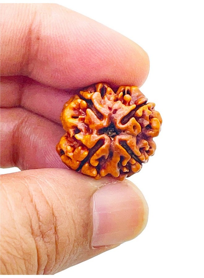 Saubhagya Global 4/ Four Mukhi Rudraksha Lab Certified Siddha in Handmade Tassel, Nepalese Beads, Size 16-22mm, Color-Brown - Image 4