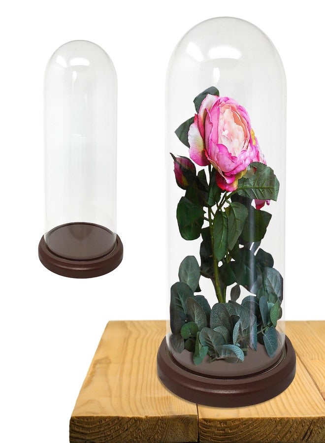 BANBERRY DESIGNS Clear Glass Dome with Hook and Base - Display Cloche - Funtional Protector of Figures and Dolls - Glass Cover Measures 11" H x 5 1/8" D - Wooden Base is 6.5" D - Image 3