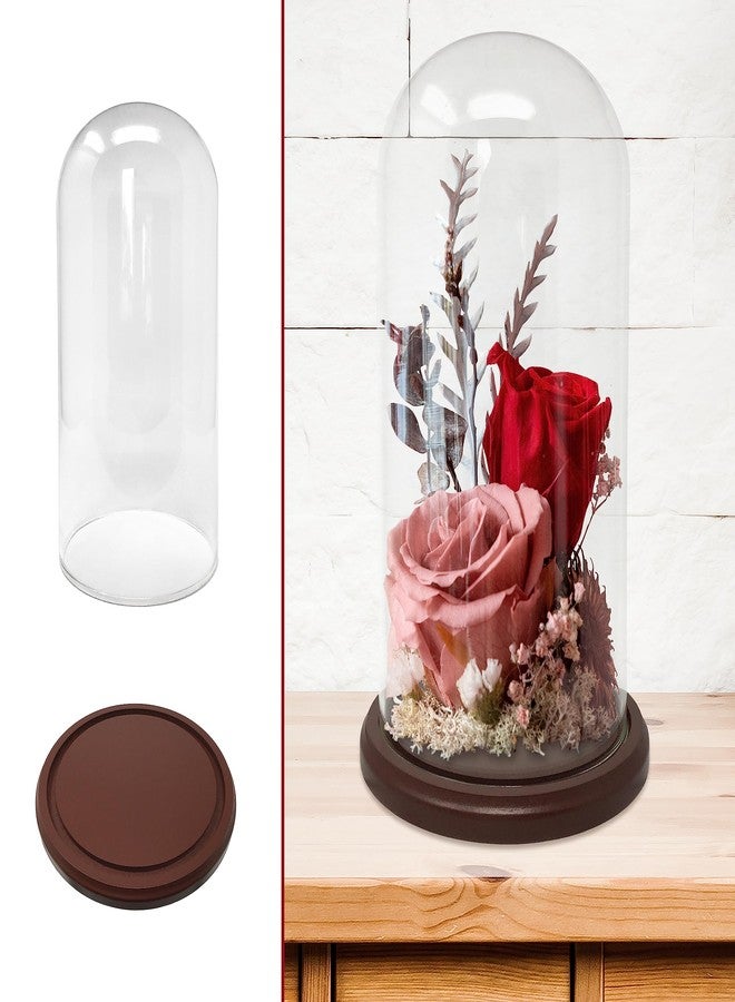BANBERRY DESIGNS Clear Glass Dome with Hook and Base - Display Cloche - Funtional Protector of Figures and Dolls - Glass Cover Measures 11" H x 5 1/8" D - Wooden Base is 6.5" D - Image 4