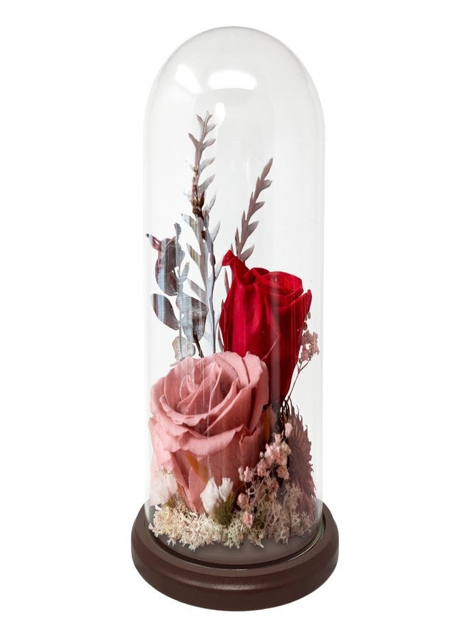 BANBERRY DESIGNS Clear Glass Dome with Hook and Base - Display Cloche - Funtional Protector of Figures and Dolls - Glass Cover Measures 11" H x 5 1/8" D - Wooden Base is 6.5" D - Image 5