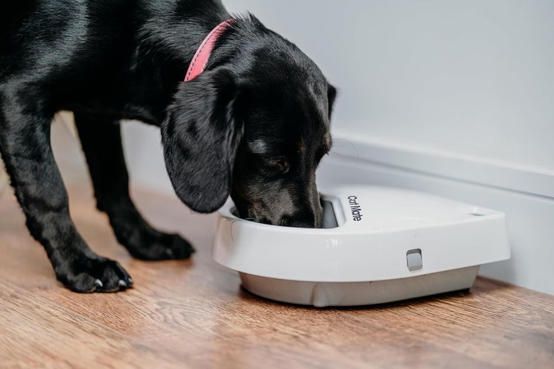 Cat Mate C300 Automatic Digital Pet Feeder for Dogs and Cats BPA and BHT Free with Ice Pack - Image 2