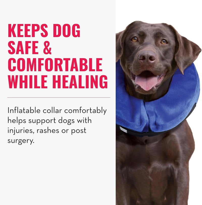 KONG Cloud E-Collar for Dogs and Cats - Medium Size, Soft and Comfortable Recovery Collar - Image 2