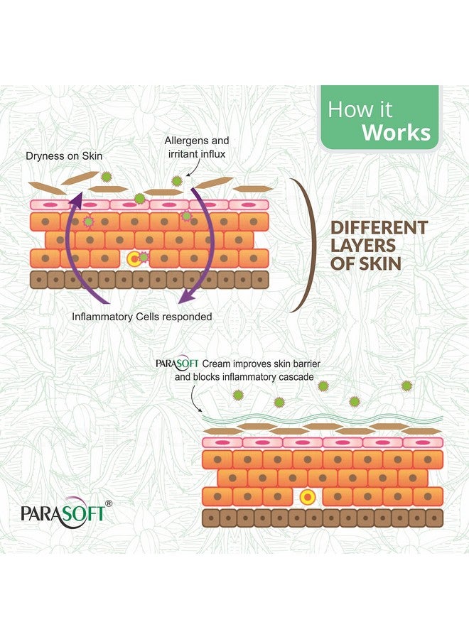 باراسوفت كريم للبشرة الجافة والمجففة، مرطب مكثف ومغذي وكريم بارد وكريم شتوي بفوائد الصبار للرجال والنساء - 500 جرام (عبوة من قطعتين) - Image 3