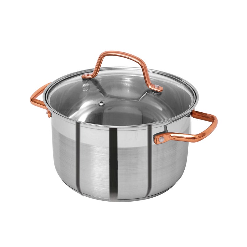 PRISTINE Stainless Steel Tri Ply Induction Base Casserole with Lid, Electroplated Rose Gold Handle, 20cm, Silver - Image 1