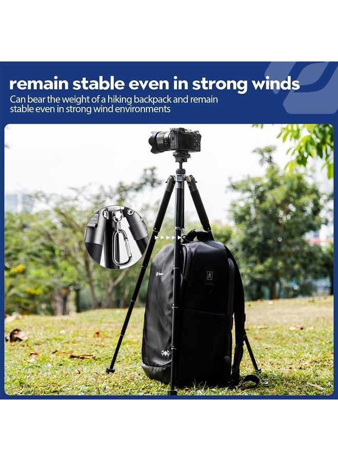 Fotopro FY800 55" Mini Tripod, 1.6lbs Lightweight Camera Tripod with Ball Head Phone Mount for Selfie GoPro Vlog Max Load up to 6.6 lbs - Image 3