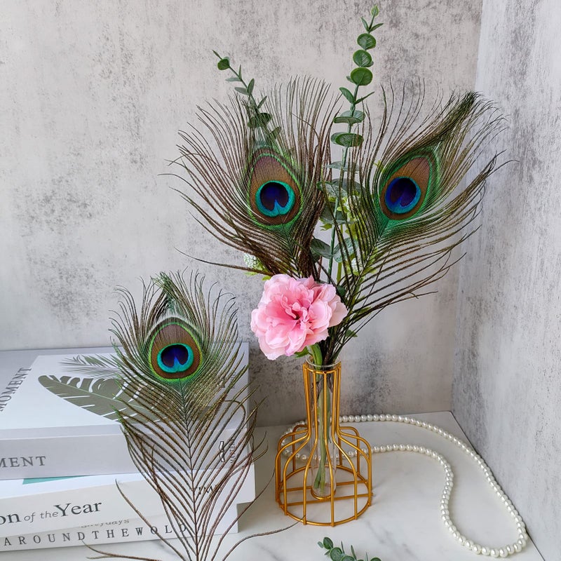 THARAHT 12pcs Peacock Feather Natural in Bulk 10-12 inch 25-30cm for Craft Vase Wedding Home Party Christmas Day Decoration Peacock Feathers - Image 5