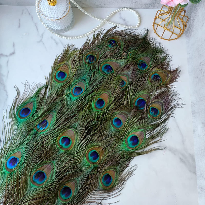 THARAHT 12pcs Peacock Feather Natural in Bulk 10-12 inch 25-30cm for Craft Vase Wedding Home Party Christmas Day Decoration Peacock Feathers - Image 4
