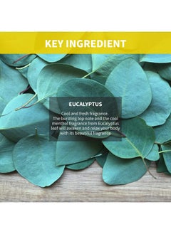 Clevos CLEVOS Natura Foresta Natural Organic Hair Shampoo 17.92 Fl Oz for Dry, Sensitive, Itchy Scalp Type - Pleasant Eucalyptus Scent - Reduce Dandruff Sulfate-free - Natural - Vegan - Cruelty Free - Clavos  - Image 5