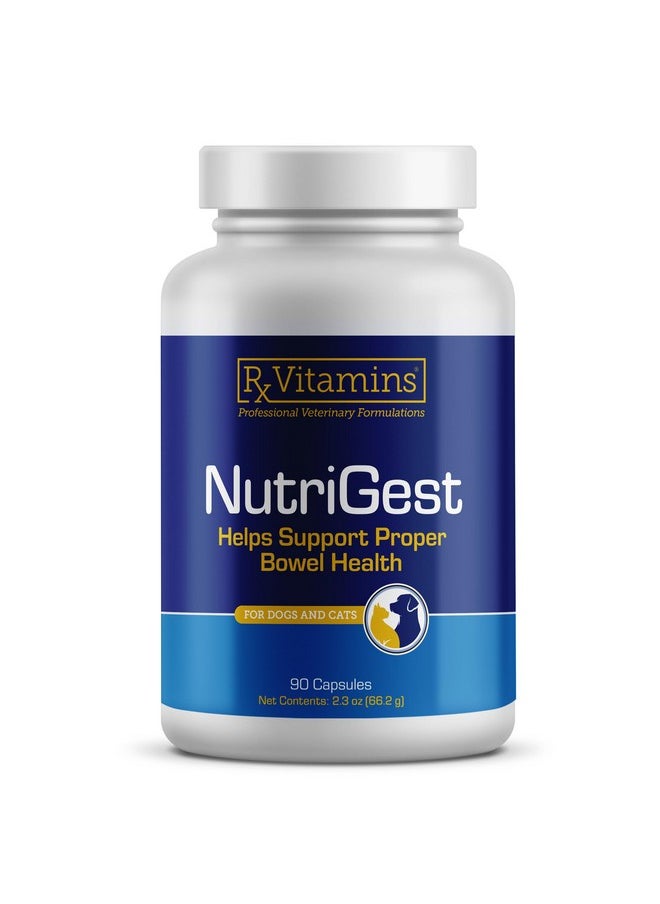 Rx Vitamins Rx Vitamins NutriGest Capsules for Cats & Dogs - Probiotics for Digestive Health Enhanced with Glucosamine for Gut Health Support - Helps with Constipation Relief and Anti Diarrhea - 90 Capsules  - Image 1