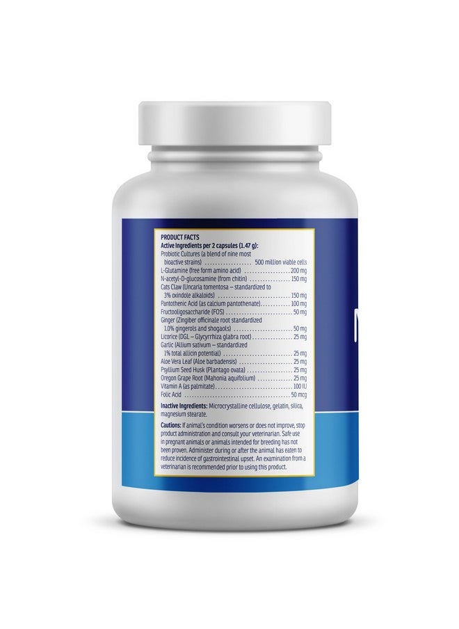 Rx Vitamins Rx Vitamins NutriGest Capsules for Cats & Dogs - Probiotics for Digestive Health Enhanced with Glucosamine for Gut Health Support - Helps with Constipation Relief and Anti Diarrhea - 90 Capsules  - Image 2