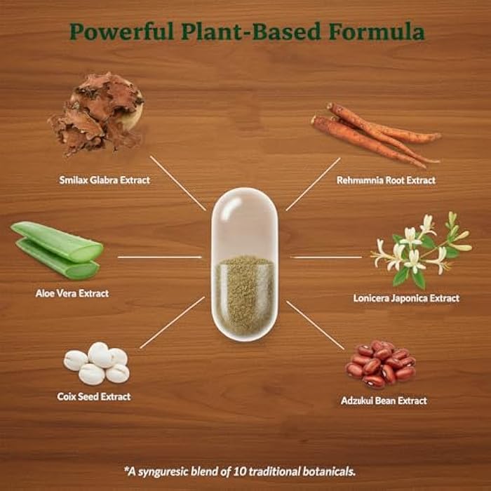 NOTO Body Dampness Relief Detoxification Capsules, Kidney Spleen Gut Detox Health for Men & Women, Chinese Traditional Herbal Detoxing Supplement - Image 5