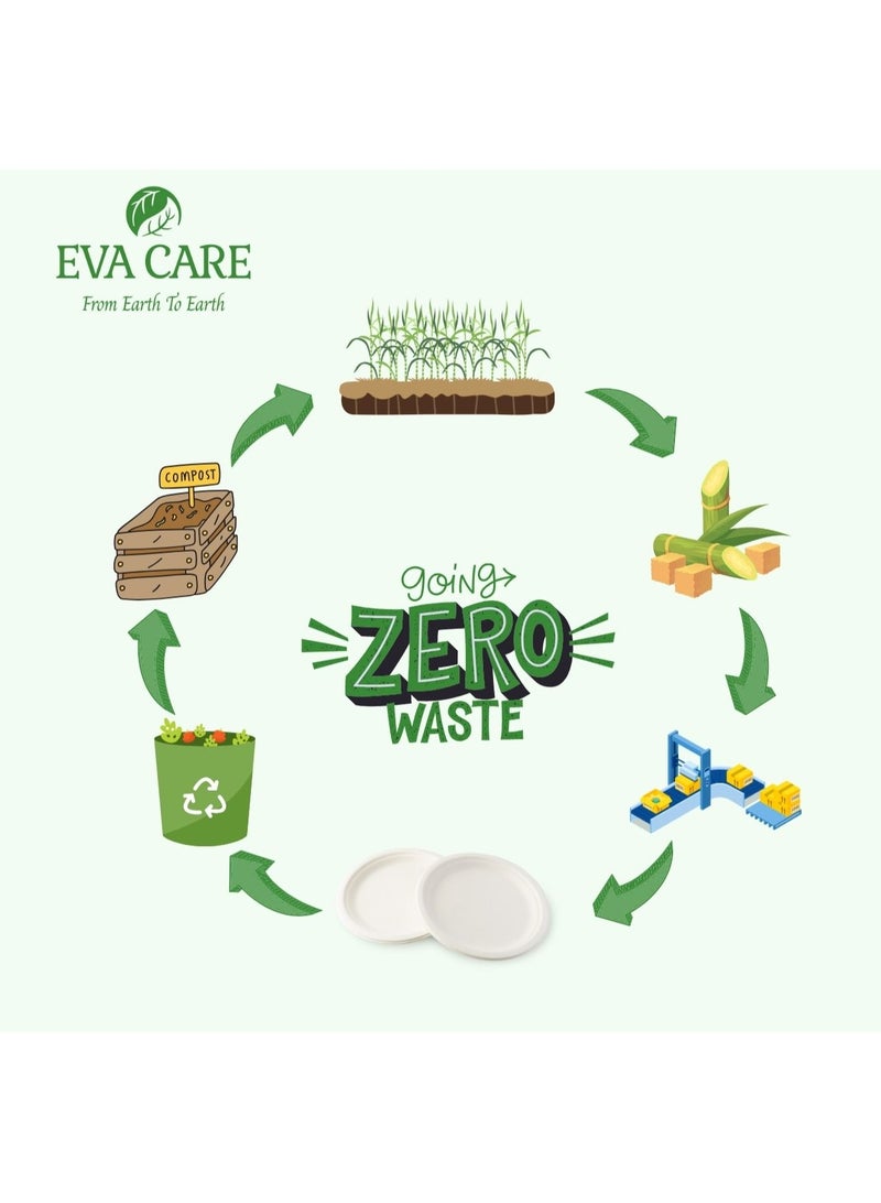 إيفا كير EVA CARE - لوحة دائرية مقاس 10 بوصات (قابلة للتحلل البيولوجي)  - Image 2