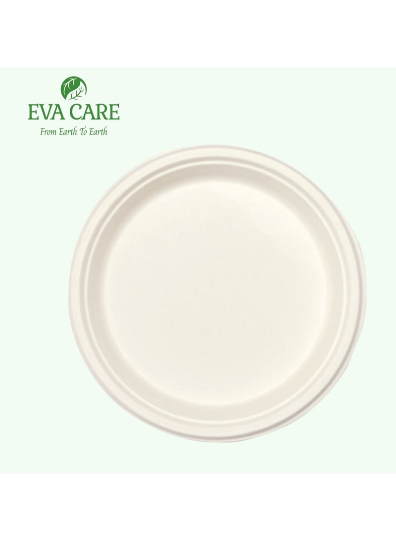 إيفا كير EVA CARE - لوحة دائرية مقاس 10 بوصات (قابلة للتحلل البيولوجي)  - Image 5