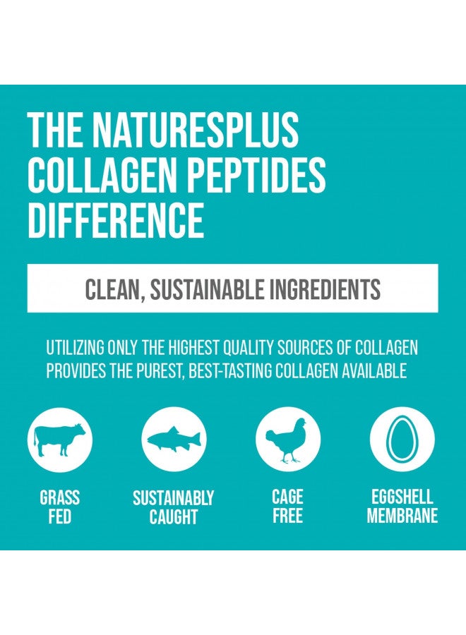 Nature's Plus NaturesPlus Collagen Peptides - 0.65 lbs Powder - Hair, Skin, Nail & Joint Health, Immune System Support - Non-GMO, Gluten Free - 28 Servings - Image 3