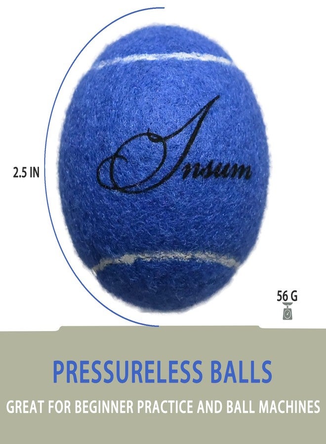 Insum 12-Pack Advanced Training Tennis Balls for Beginner Practice, Pet Dog Tennis Balls with Mesh Bag for Easy Carry - Image 2