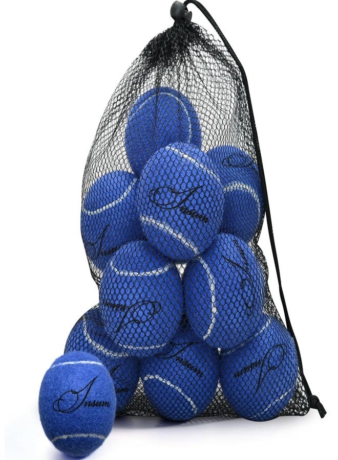 Insum 12-Pack Advanced Training Tennis Balls for Beginner Practice, Pet Dog Tennis Balls with Mesh Bag for Easy Carry - Image 1