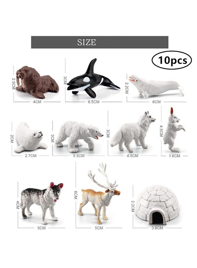 NatureMan 10pcs Arctic Animals Figurines,Mini Arctic Animal Toy Set, Arctic Circle Ocean Sea Animal Figurines Playset for Kids Educational Toys -Cake Toppers - Image 3