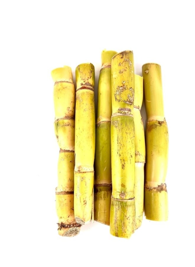 100PCS Yellow Green  Sugar Cane Seeds For Home Garden Planting - Image 1