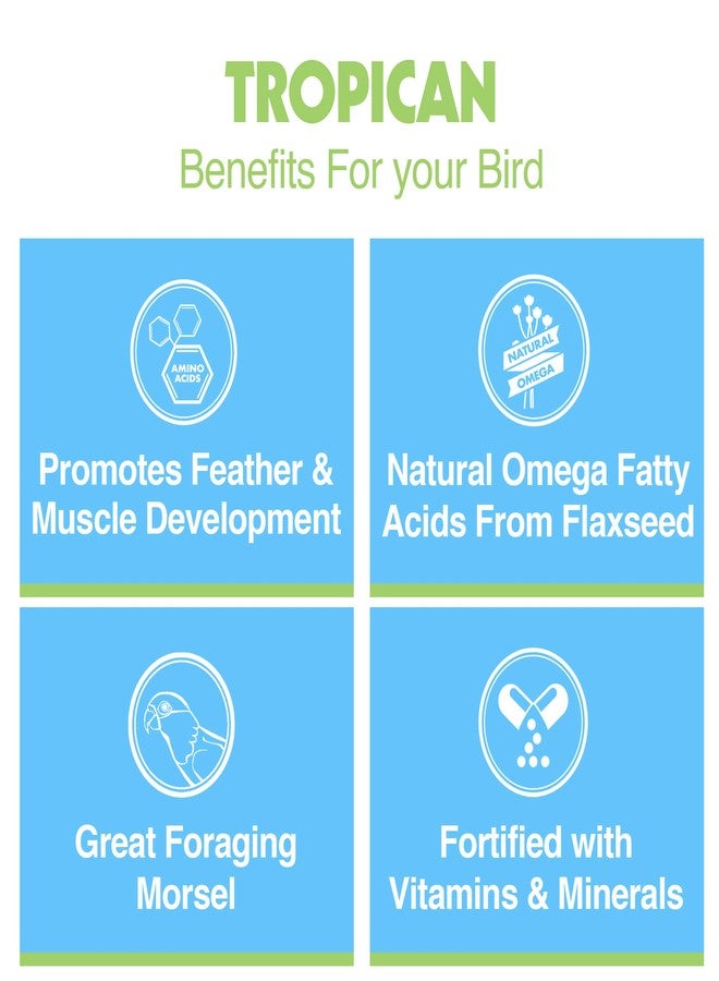 Hari Tropican High Performance Sticks And Biscuits For Parrots (Sticks, 3.3 lb) - Image 4